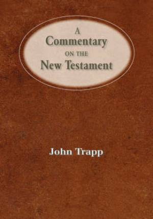 Commentary Of The New Testament By John Trapp (Hardback) 9781599251332