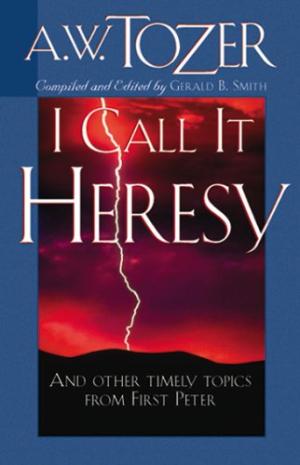 I Call It Heresy By Tozer A W Smith Gerald B (Paperback) 9781600660443