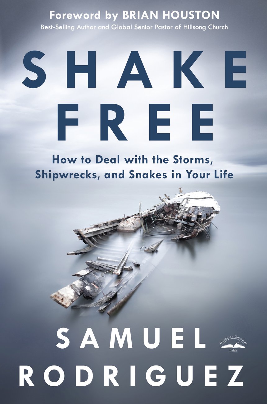 Shake Free How to Deal with the Storms Shipwrecks and Snakes in You