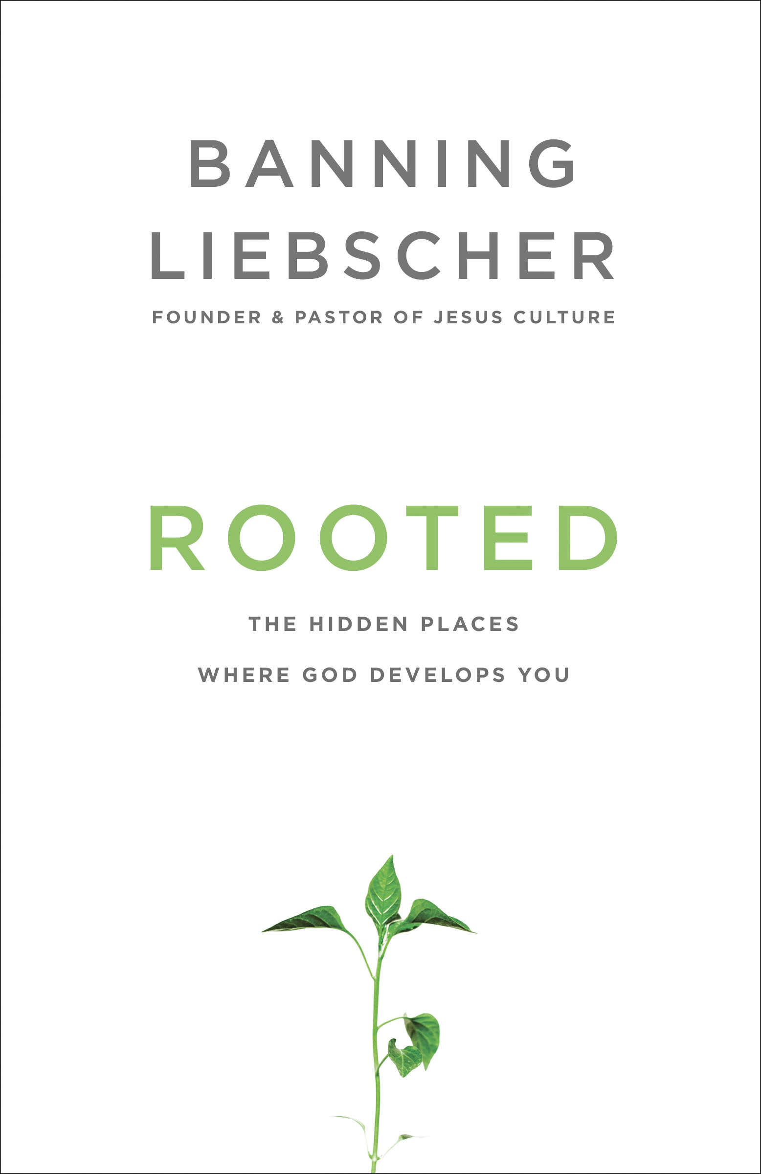 Rooted By Banning Liebscher (Paperback) 9781601428400