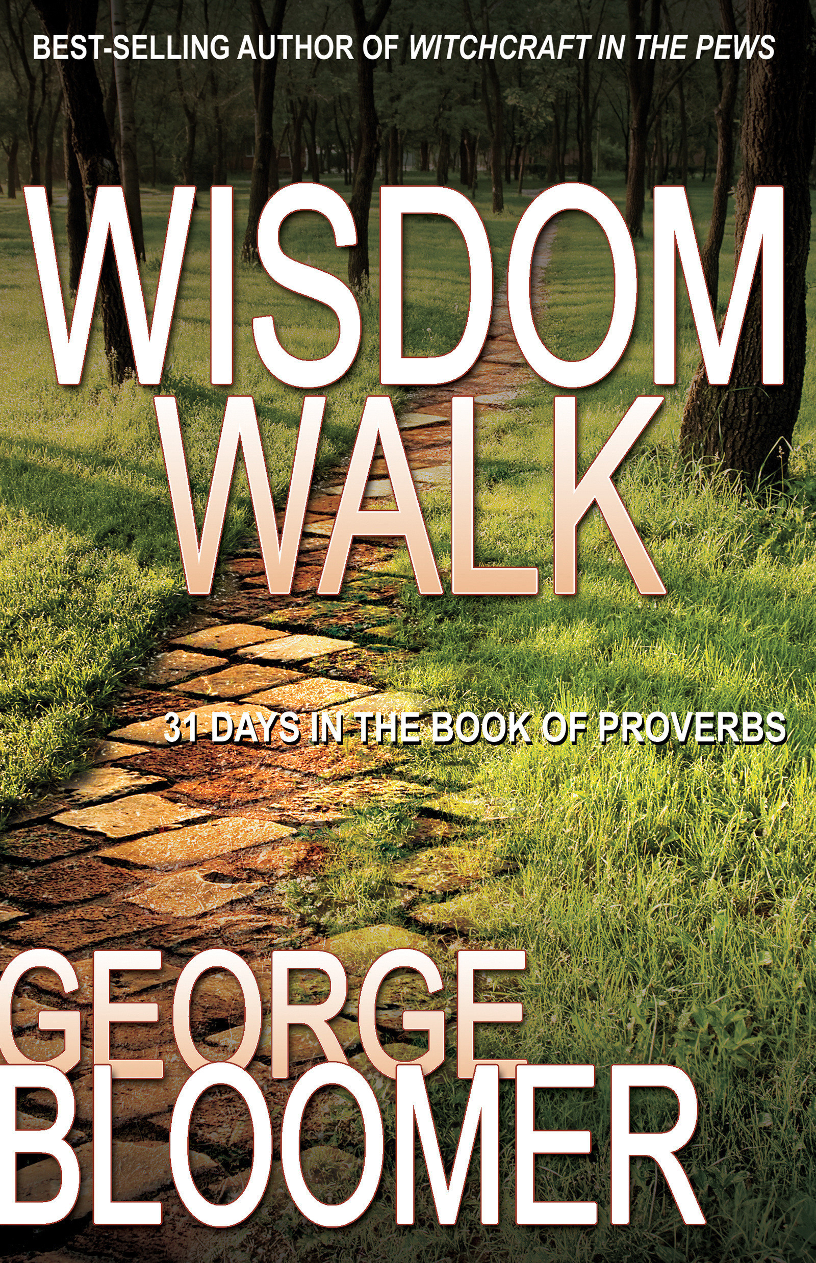 Wisdom Walk 31 Days In The Book Of Proverbs