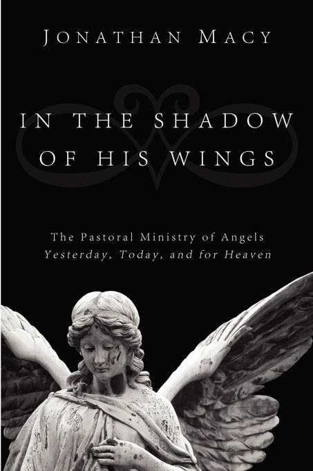 In the Shadow of His Wings The Pastoral Ministry of Angels Yesterday