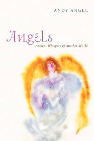 Angels By Andrew R Angel (Paperback) 9781610977241