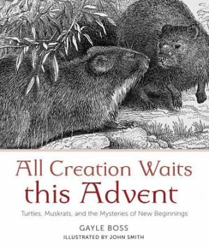 All Creation Waits The Advent Mystery of New Beginnings By Gayle Boss