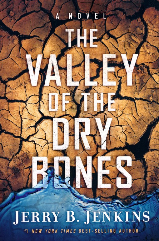 The Valley Of Dry Bones By Jenkins Jerry B (Paperback) 9781617950087