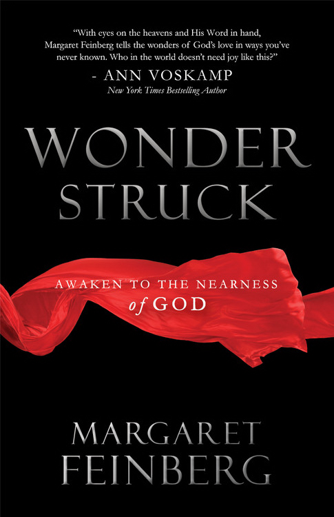 Wonderstruck By MARGARET FEINBERG (Paperback) 9781617950889