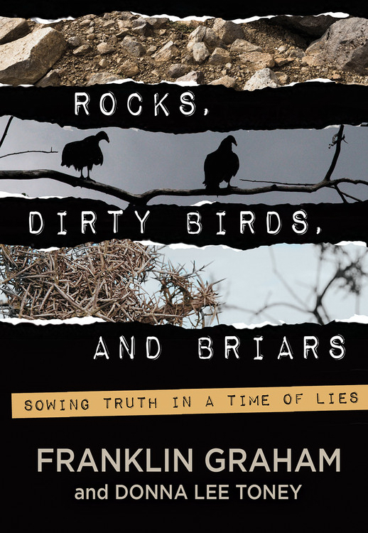 Rocks Dirty Birds and Briars