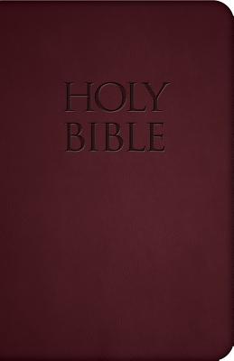 Holy Bible-Nab By Saint Benedict Press (Imitation Leather)