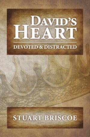 David's Heart By Briscoe Stuart (Paperback) 9781619581845