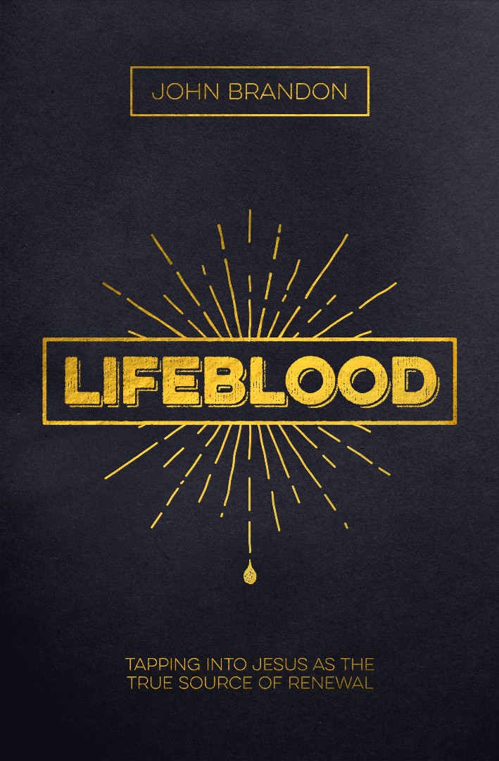 Lifeblood By Brandon John (Paperback) 9781619582767