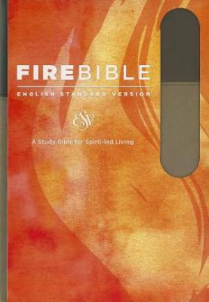 Fire Bible-ESV By Hendrickson Publishers (Imitation Leather)