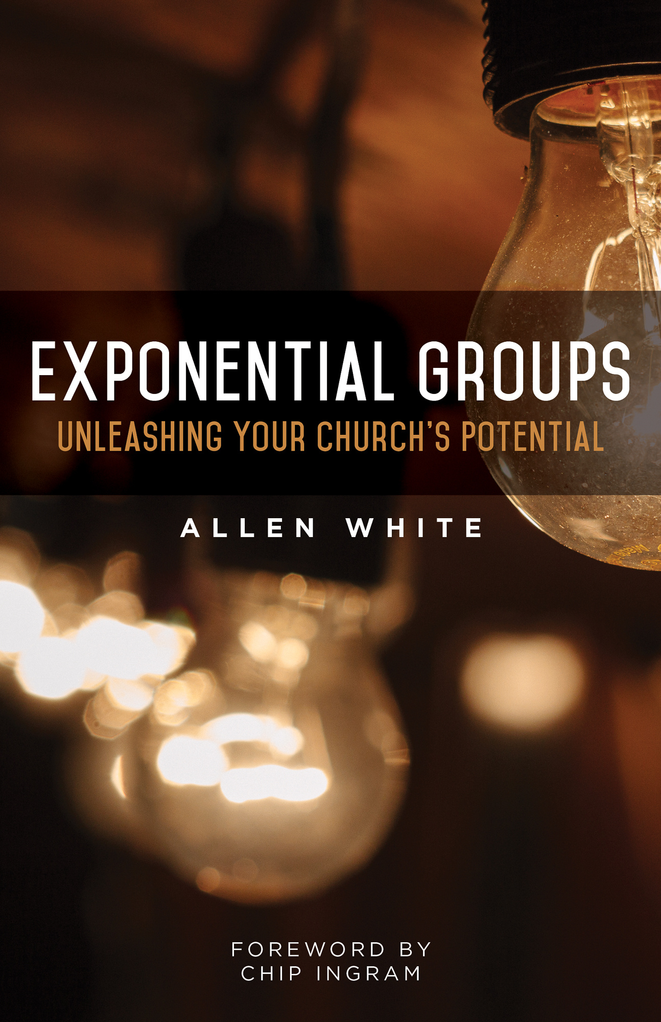 Exponential Groups By Allen White (Paperback) 9781619708419