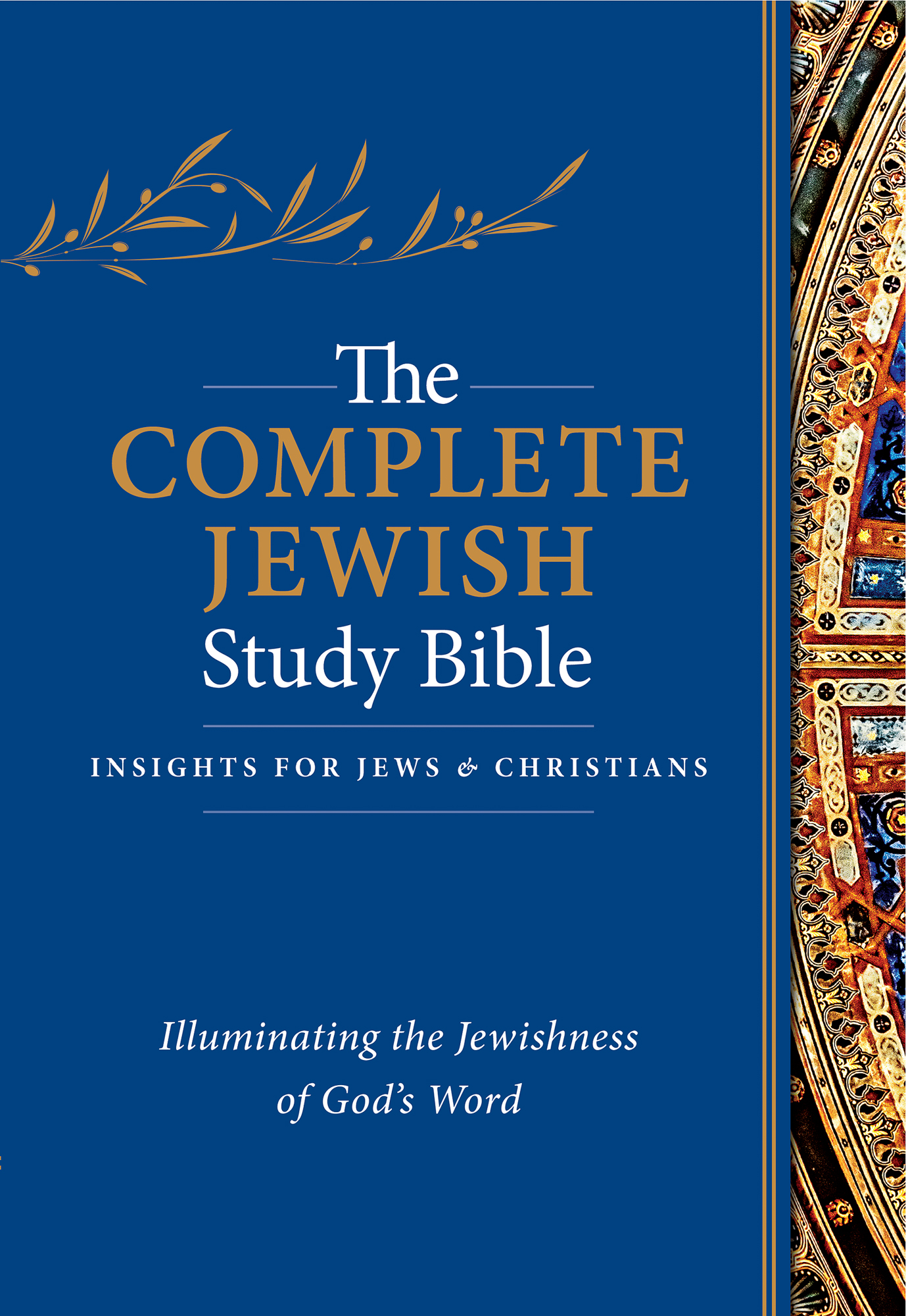 The Complete Jewish Study Bible By Barry Rubin (Hardback)