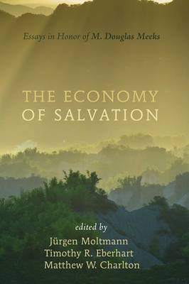 The Economy of Salvation By Moltmann Jurgen (Paperback) 9781620326282