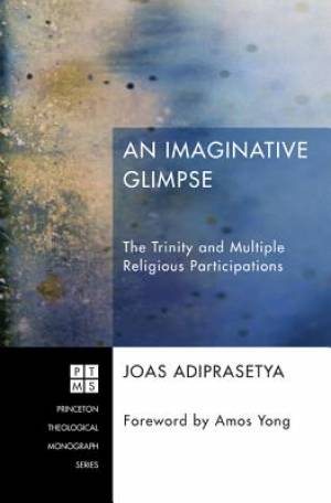 An Imaginative Glimpse The Trinity and Multiple Religious Participati