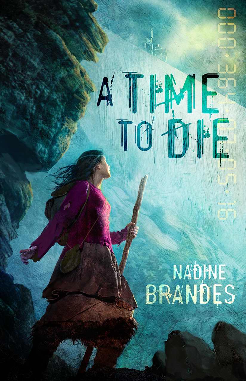 Time to Die A By Brandes Nadine (Paperback) 9781621840299