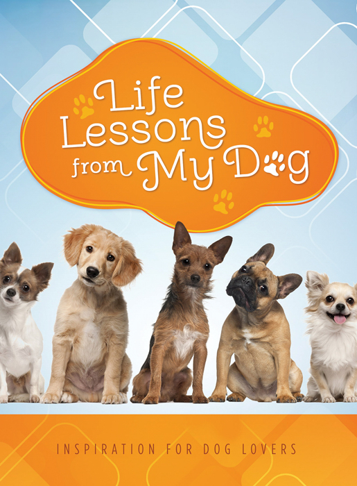 Life Lessons from My Dog | Free Delivery when you spend £10 @ Eden.co.uk