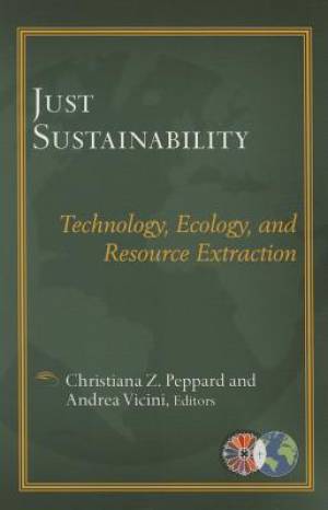 Just Sustainablility By Christiana Peppard Andrea Vicini (Paperback)