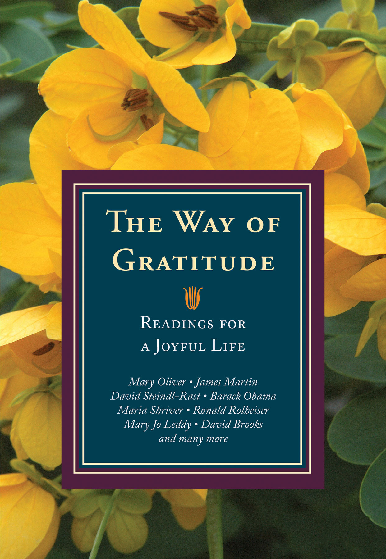 The Way of Gratitude By Leach Michael (Paperback) 9781626982321