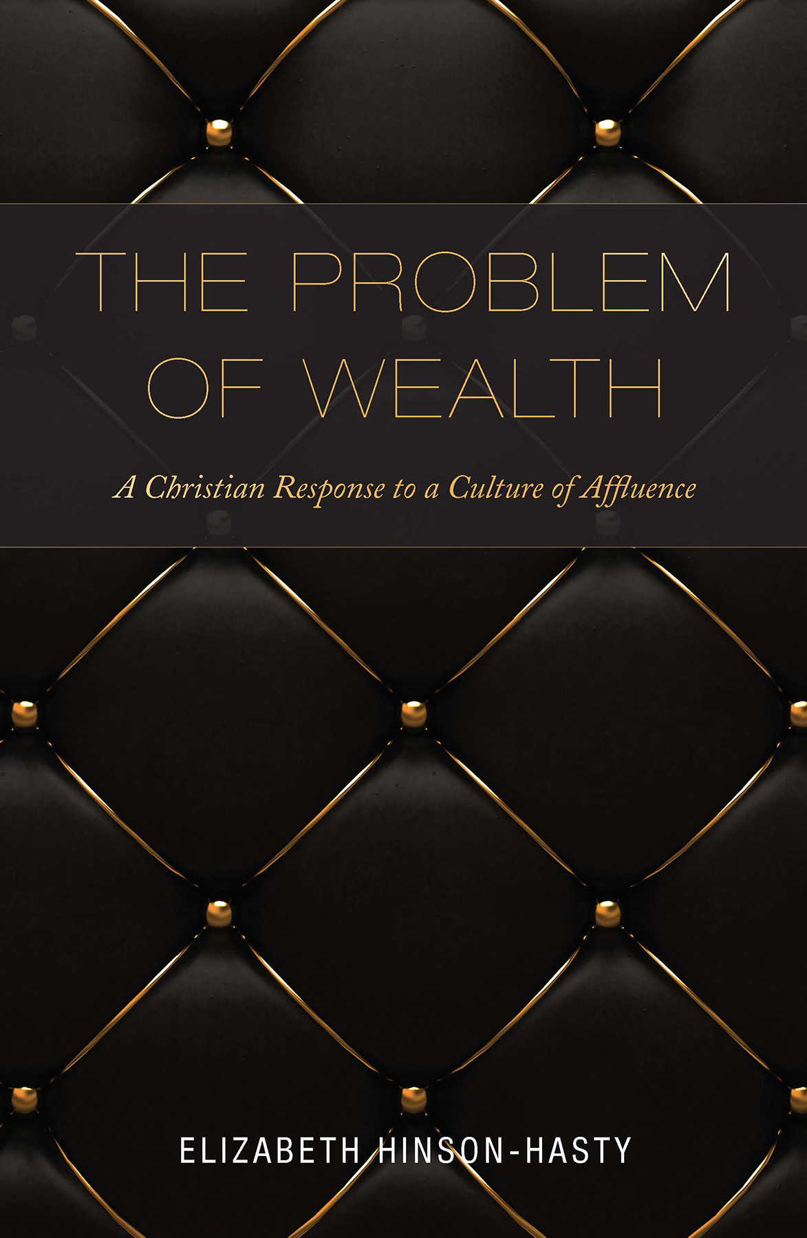 The Problem of Wealth By Elizabeth L Hinson-Hasty (Paperback)