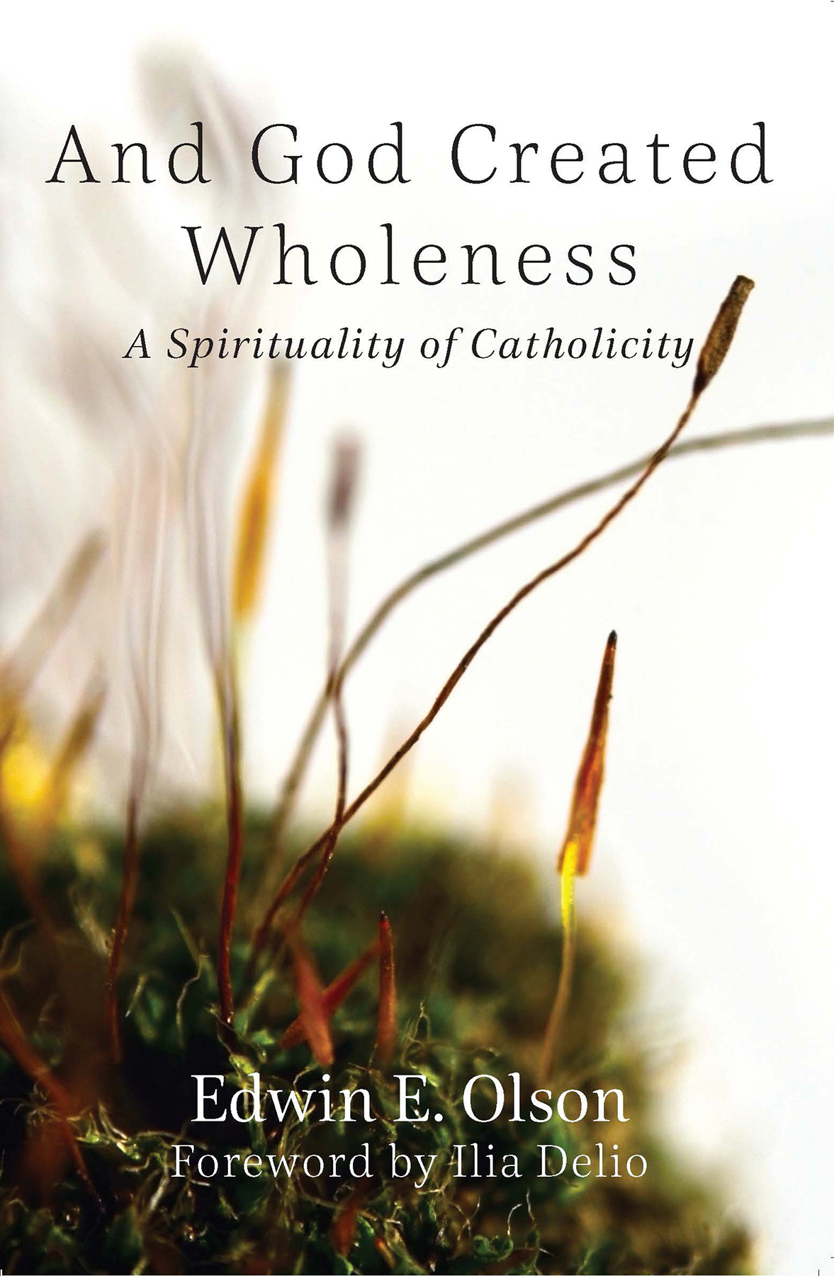 And God Created Wholeness A Spirituality of Catholicity