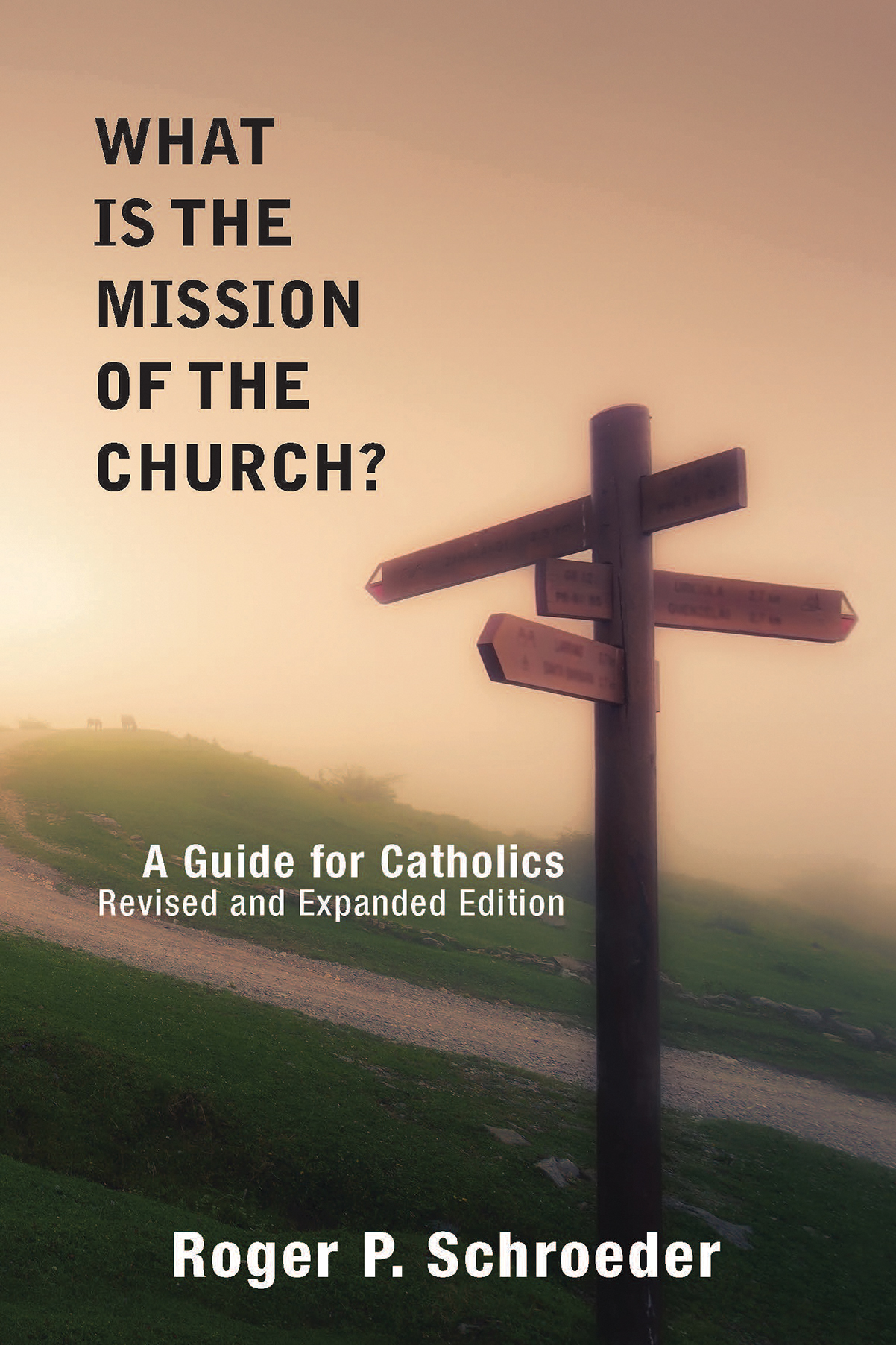 What Is the Mission of the Church A Guide for Catholics (Paperback)