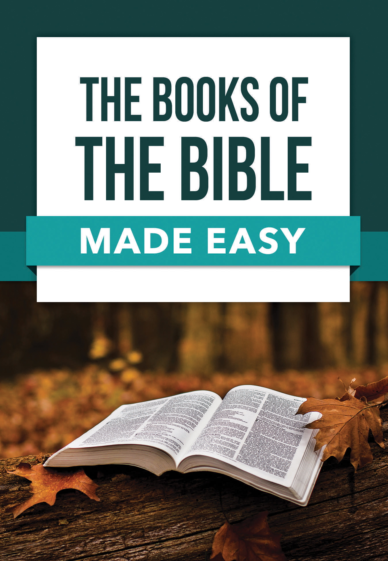 Books of the Bible Made Easy by Rose Publishing Fast Delivery