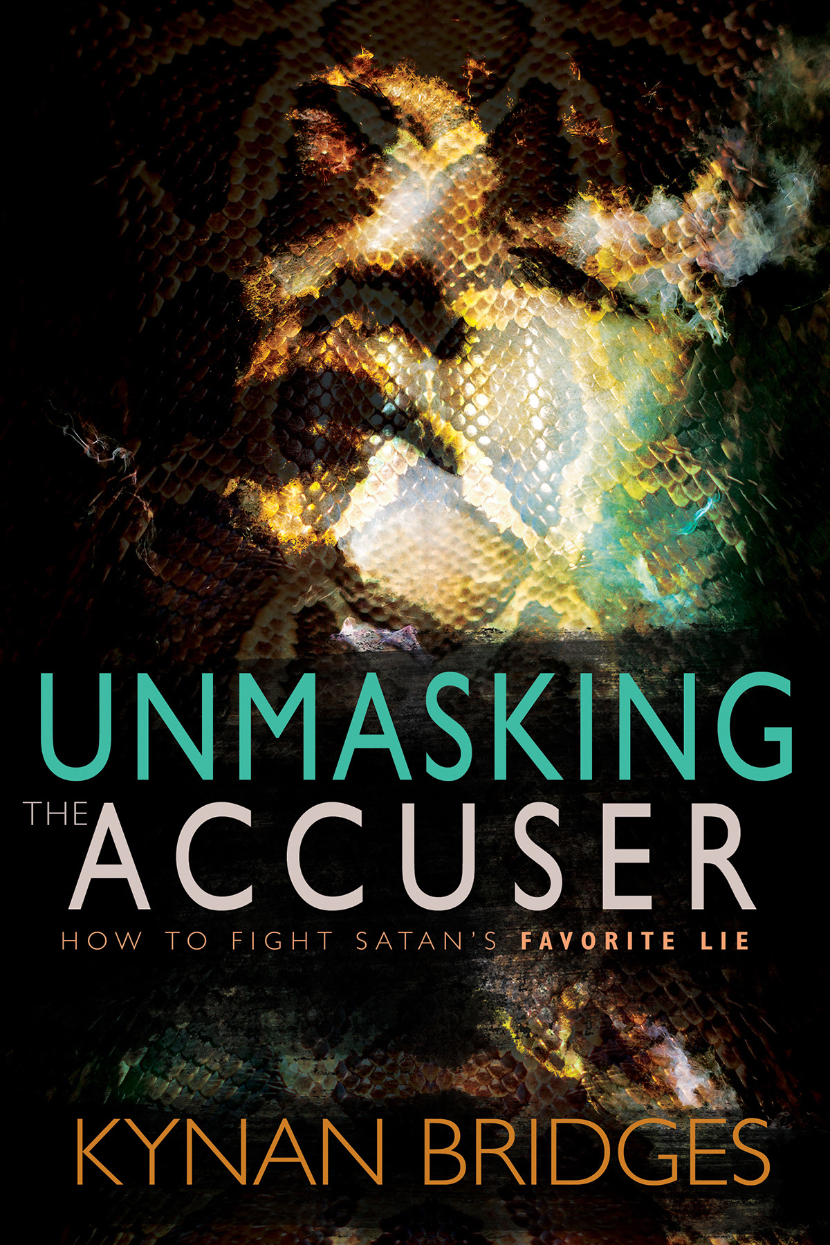 Unmasking the Accuser By Bridges Kynan (Paperback) 9781629118086