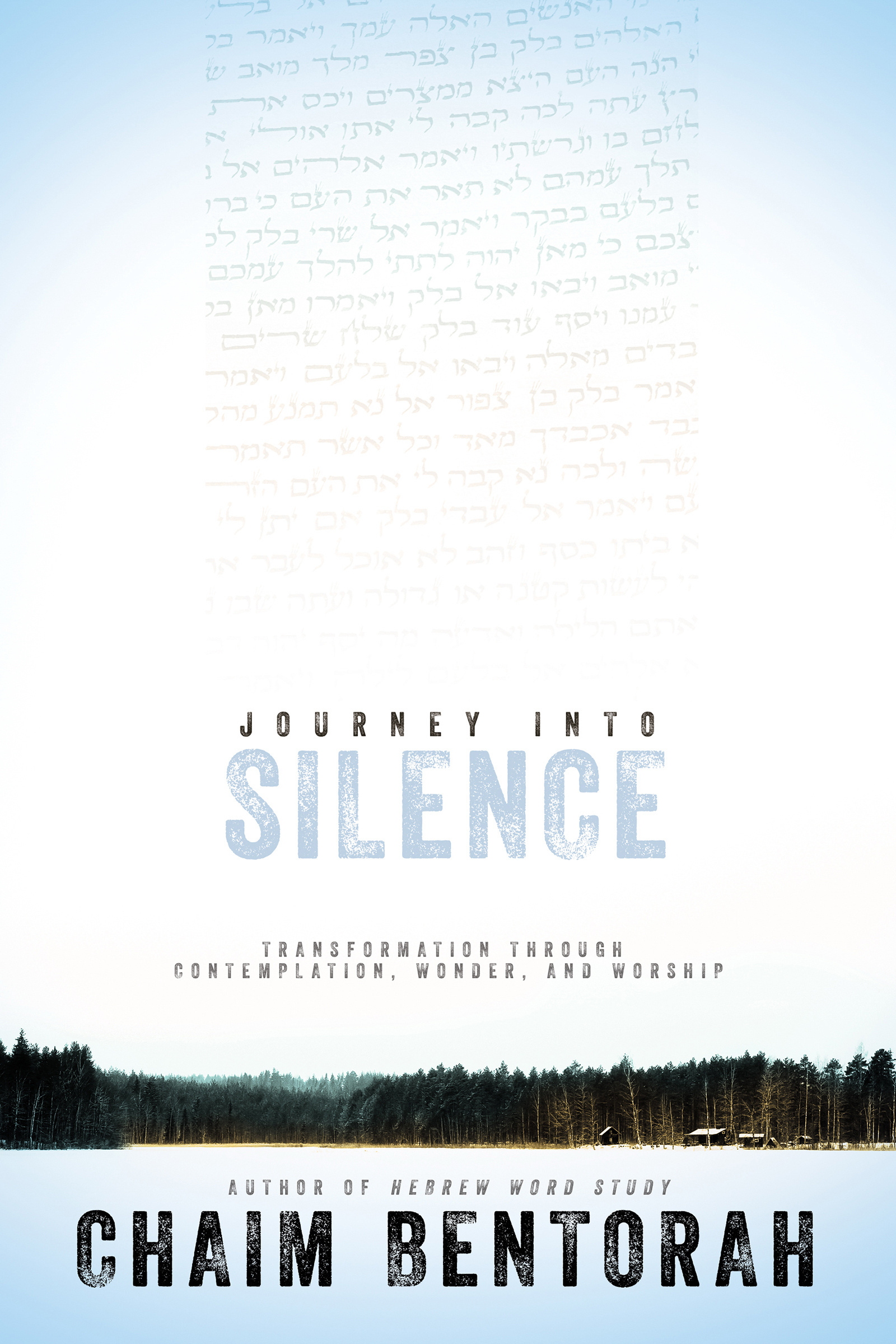 Journey Into Silence By Chaim Bentorah (Paperback) 9781629119120