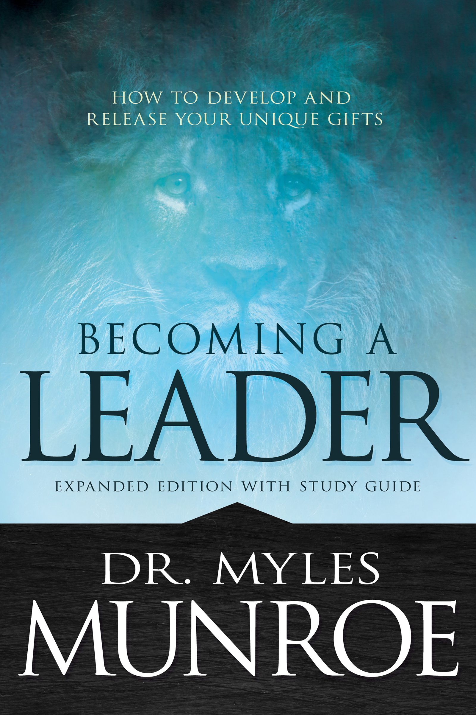 leader biography books