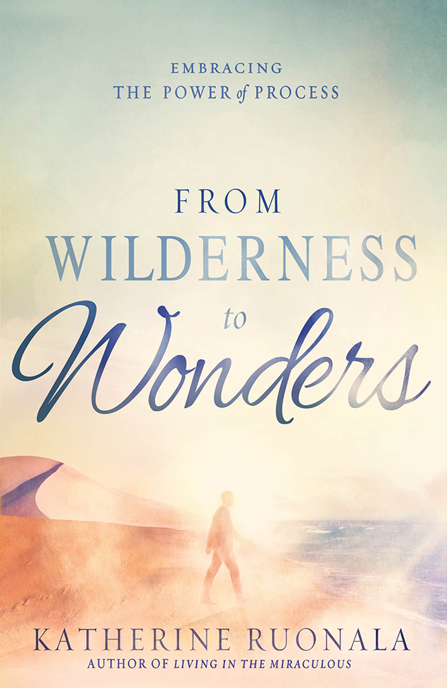 From Wilderness to Wonders By Katherine Ruonala (Paperback)