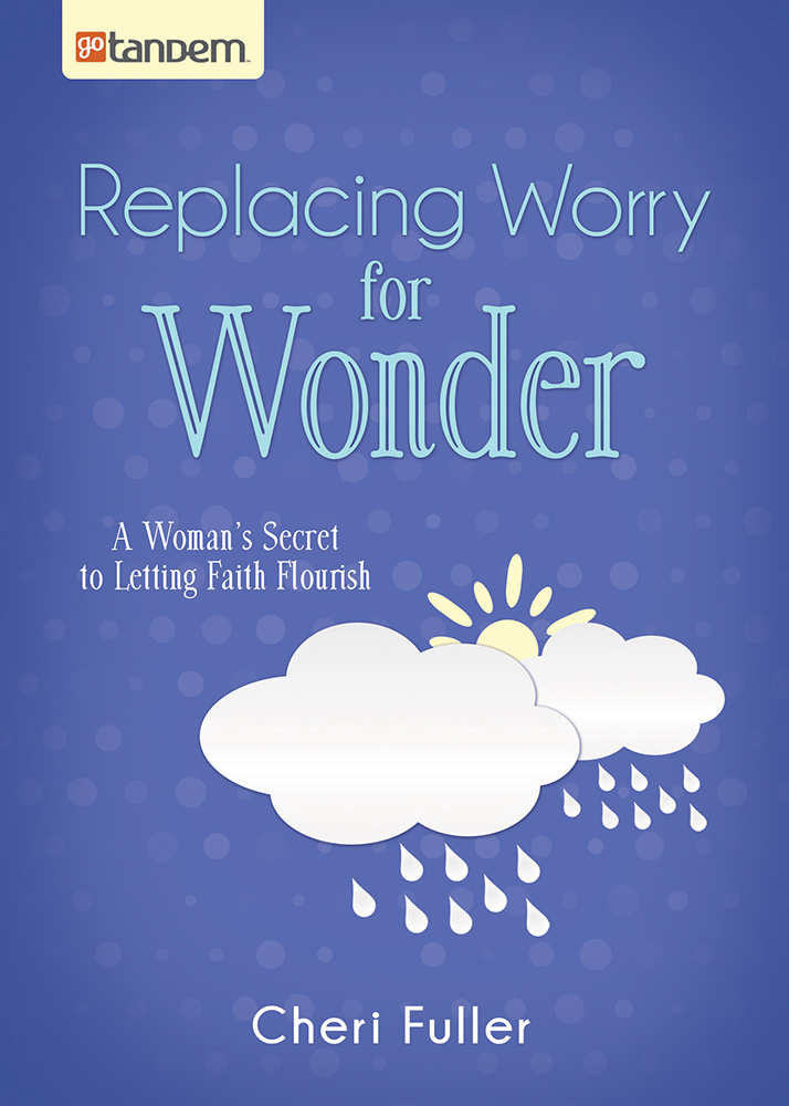 Replacing Worry For Wonder Paperback By Fuller Cheri (Paperback)