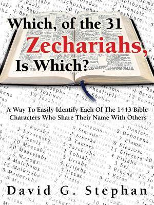 Which of the 31 Zechariahs Is Which By David Stephan (Paperback)