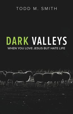 Dark Valleys When You Love Jesus But Hate Life By Todd M Smith