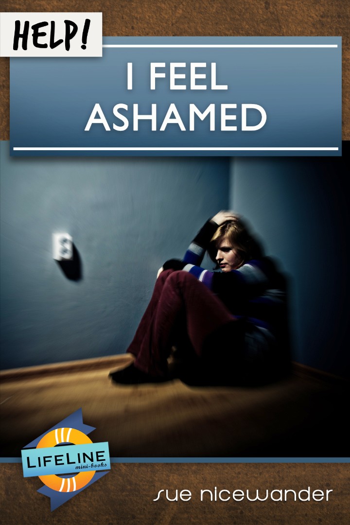 Help I Feel Ashamed By Nicewander Sue (Paperback) 9781633420571