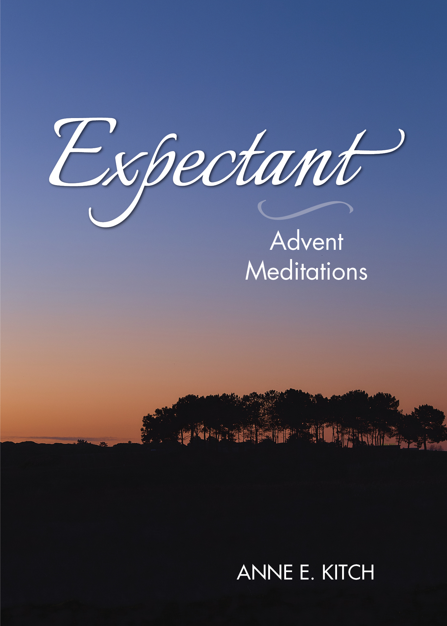 Expectant Advent Meditations By Anne E Kitch (Paperback) 9781640651463