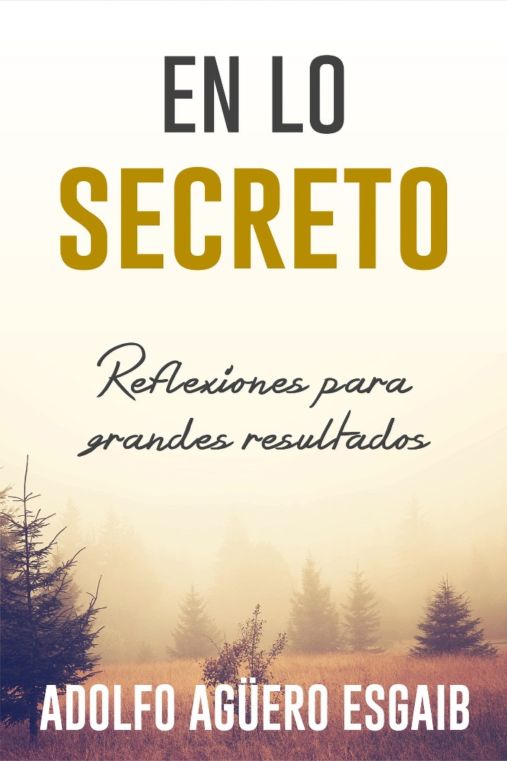 En Lo Secreto By Aguero Adolfo A (Paperback) 9781641230650