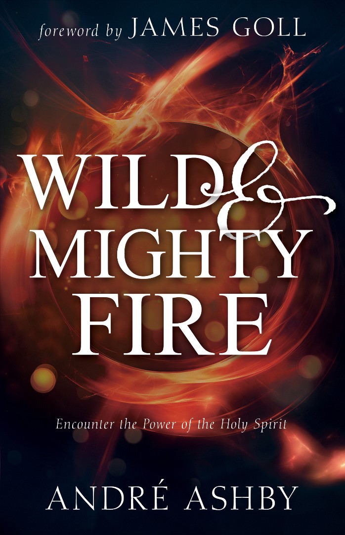 Wild and Mighty Fire By Ashby Andr Goll James W (Paperback)