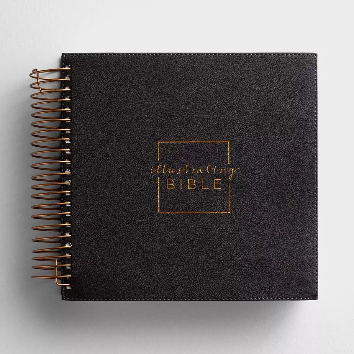 NIV Illustrating Bible, Grey, Imitation Leather, Journaling