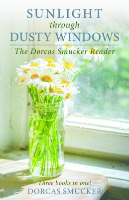 Sunlight Through Dusty Windows By Dorcas Smucker (Paperback)