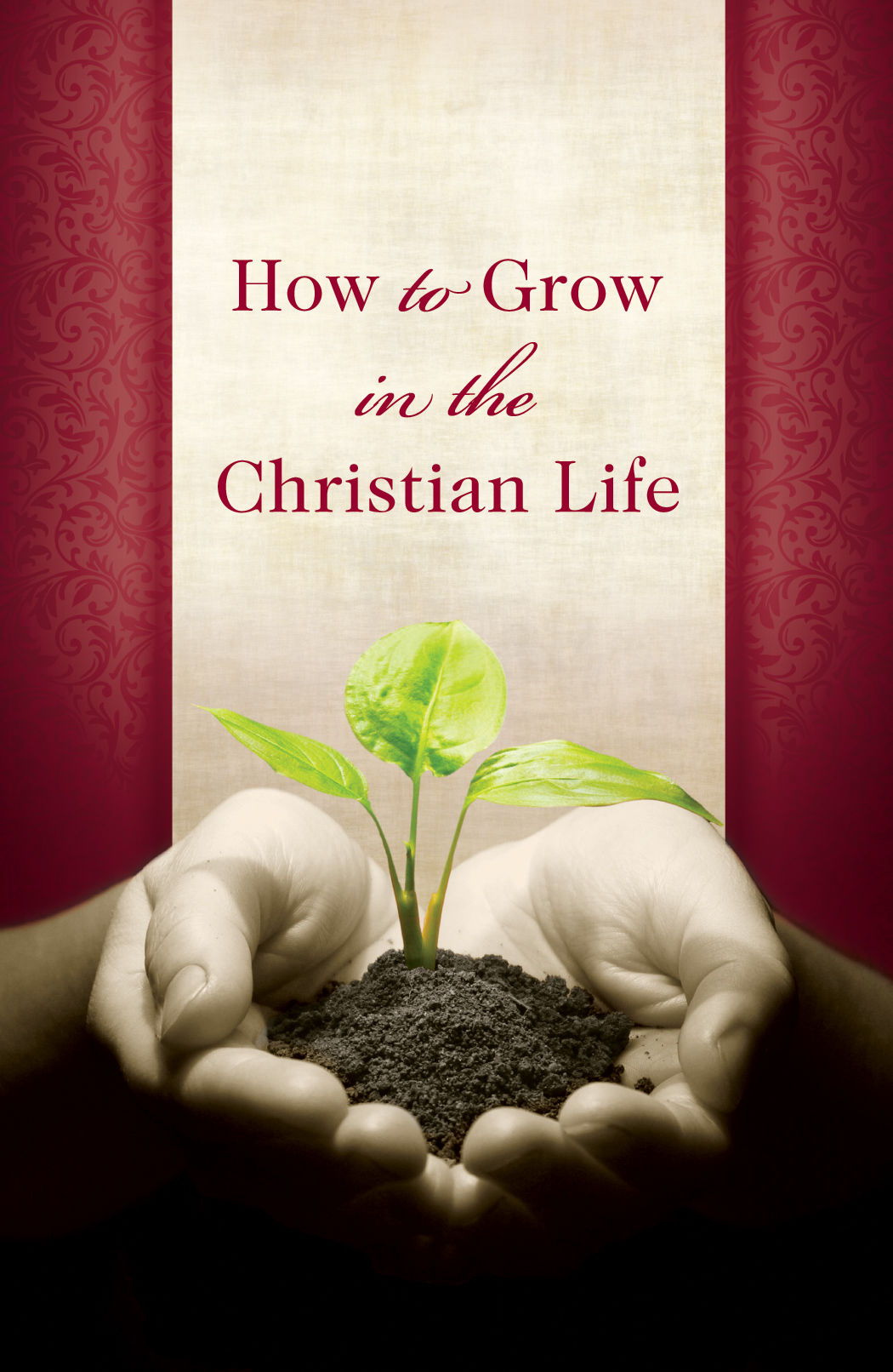 How To Grow In The Christian Life Pack Of 25 By Good News (Tract)