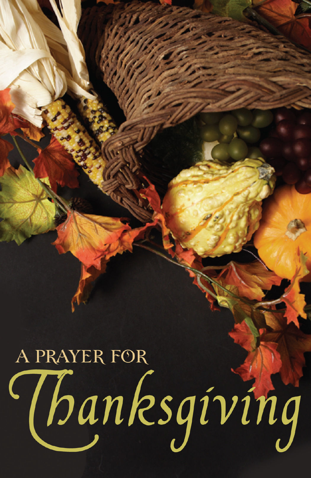 Prayer For Thanksgiving Pack Of 25 By Good News (Tract) 9781682161869