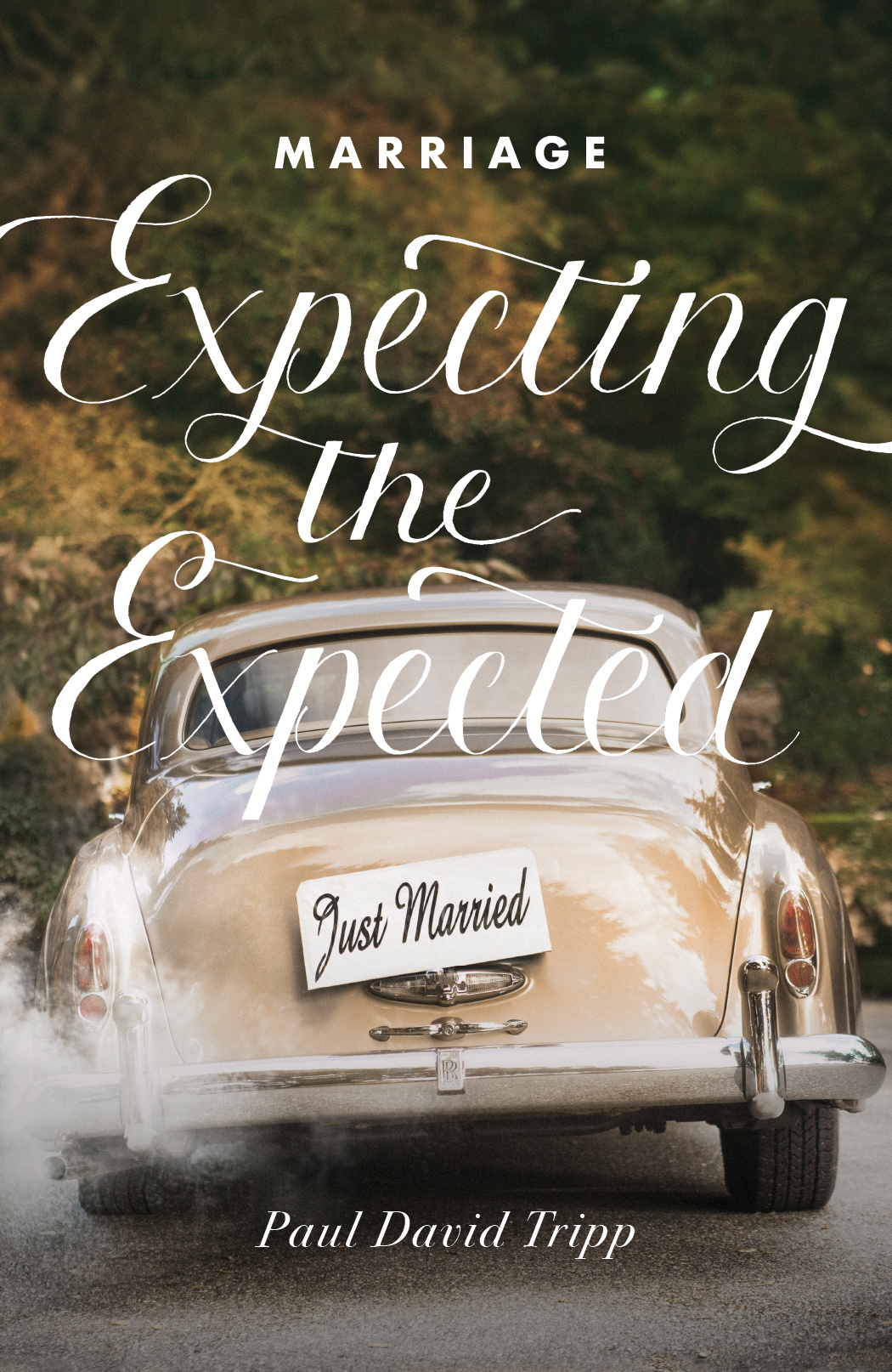 Marriage Expecting the Expected Pack of 25 By Tripp Paul David