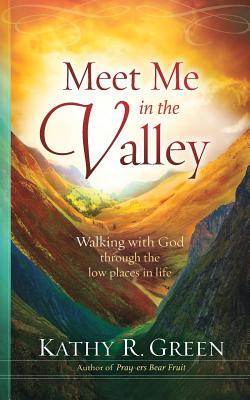 Meet Me in the Valley Walking With God Through the Low Places in Life