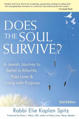 Does the Soul Survive 2nd Edition A Jewish Journey to Belief in Af