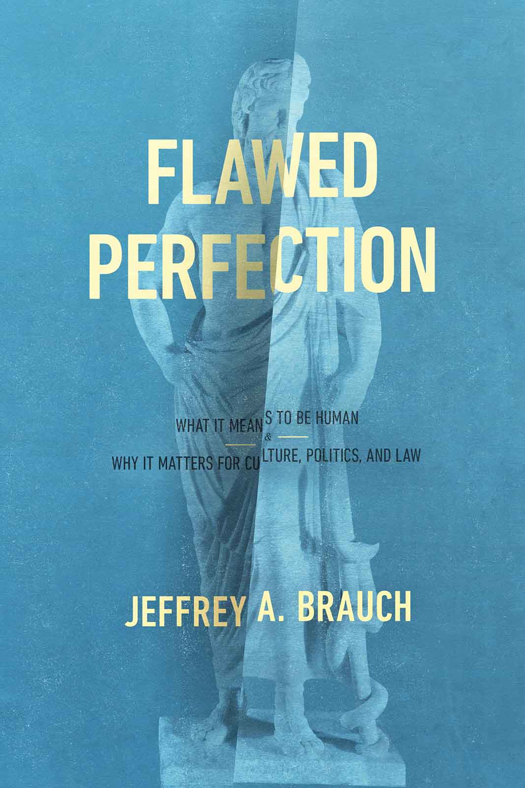 Flawed Perfection What It Means to Be Human and Why It Matters for Cu