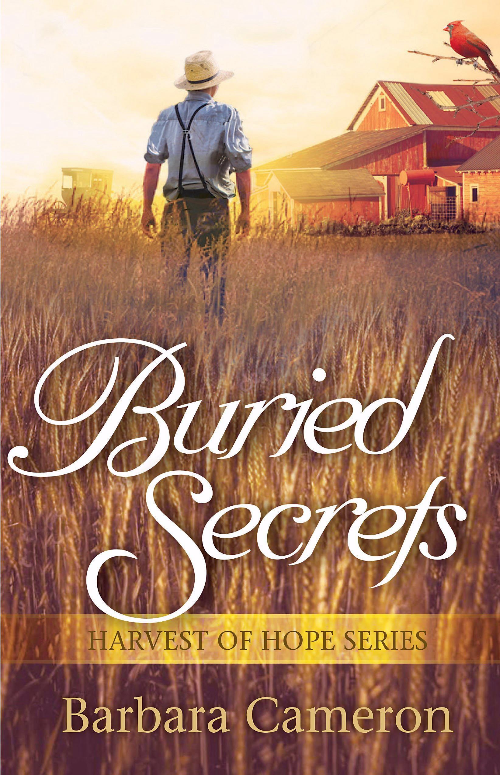 Buried Secrets By Cameron Barbara (Paperback) 9781683700579