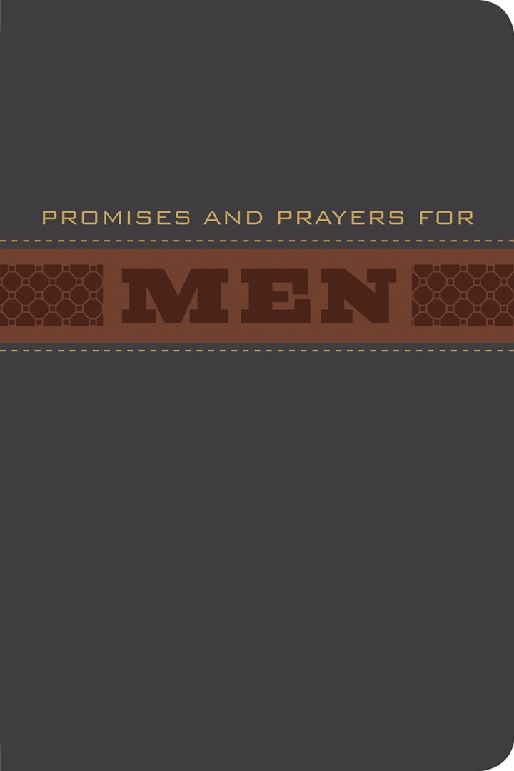 Promises and Prayers for Men By Wilson Larry (Imitation Leather)