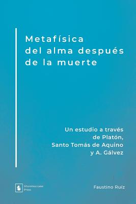 Metafisica Del Alma Despues De La Muerte By Faustino Ruiz (Paperback)