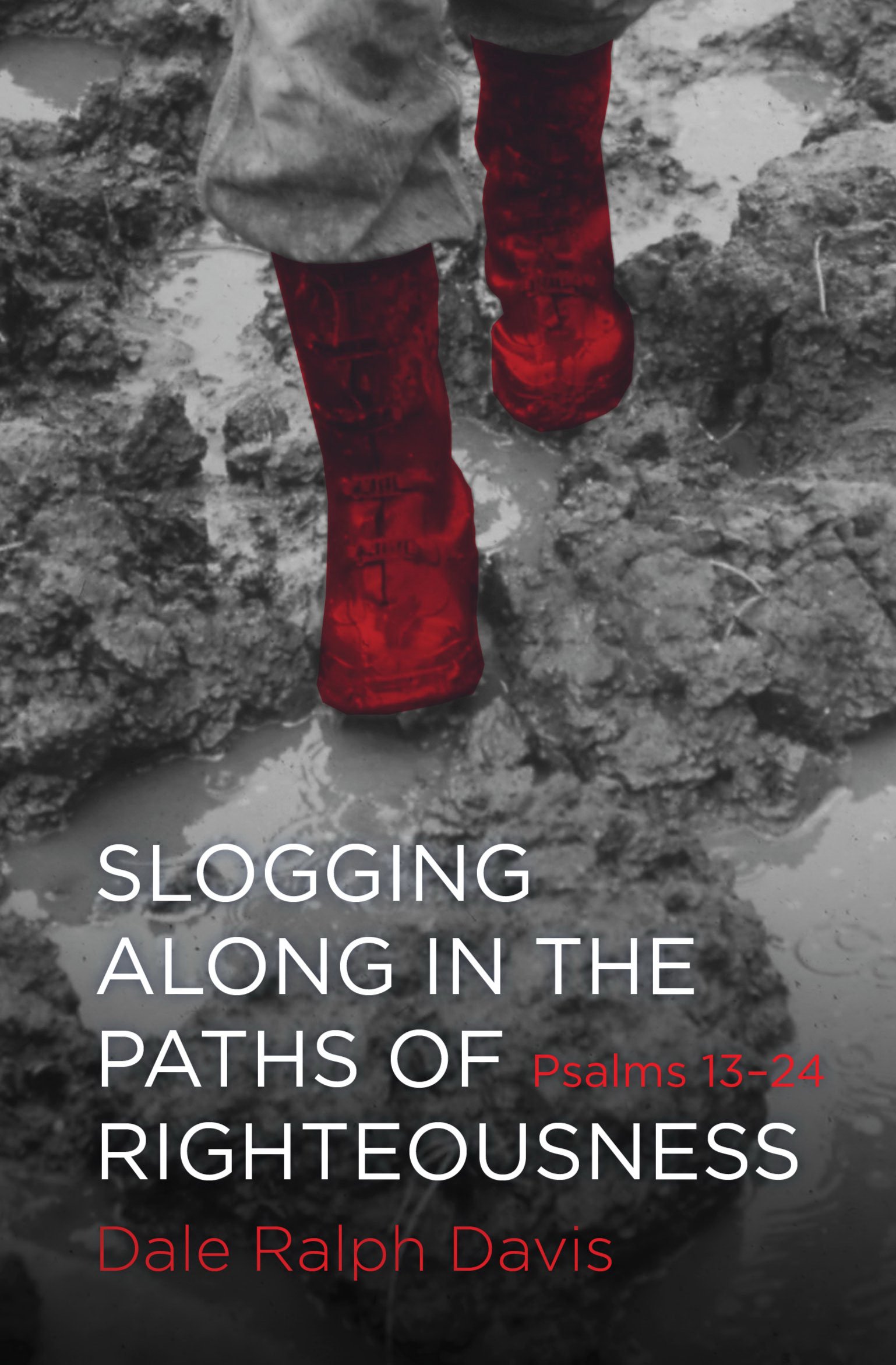 Slogging Along In The Paths Of Righteous By Dale Ralph Davis